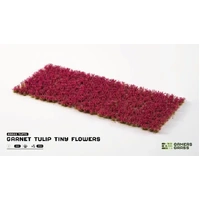 Gamers Grass Garnet Tulip Tiny Flowers