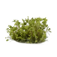 Gamers Grass Green Shrub (Wild)