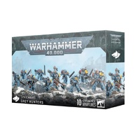 Space Wolves: Grey Hunters